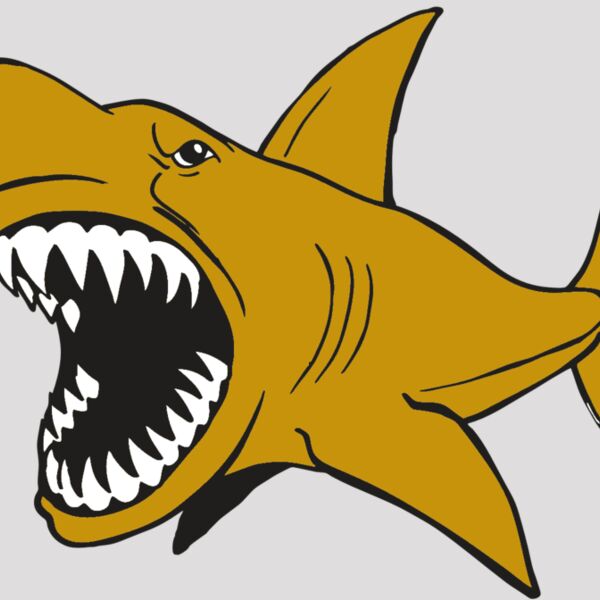 AR  SHARK 21 RC Thumbnail