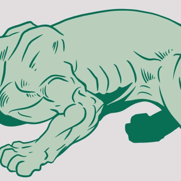 AR10 PANTHER 05 RQC Thumbnail