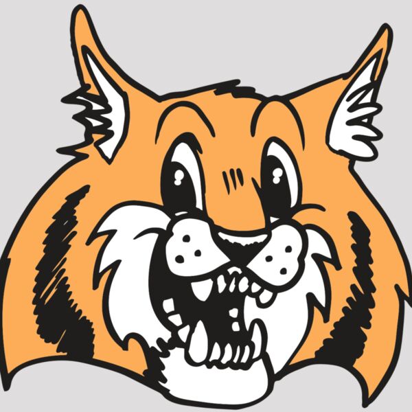 AR WILDCAT 13 RC Thumbnail