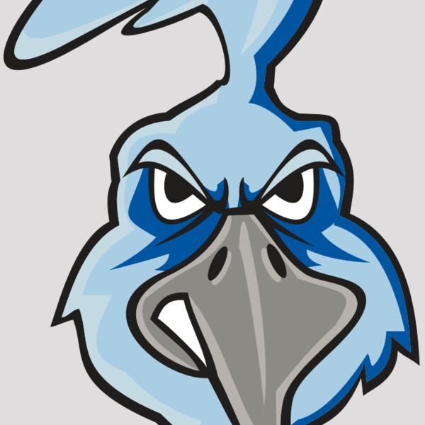 ROADRUNNER HD0502 RQC Thumbnail