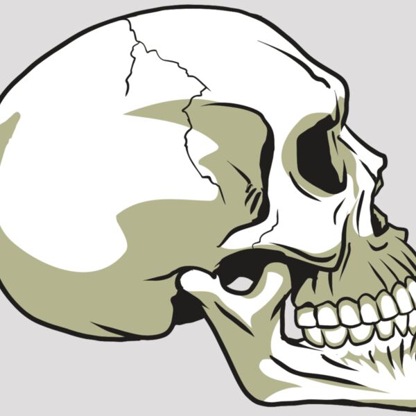 AR24 SKULL 12 RQC Thumbnail