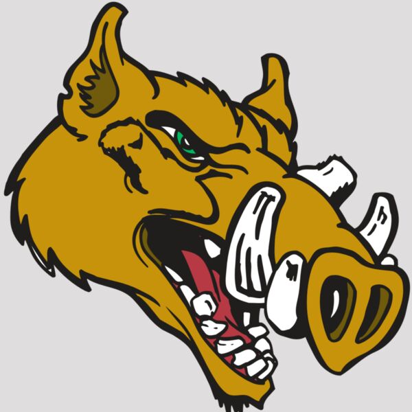 AR RAZORBACK 17 RC Thumbnail