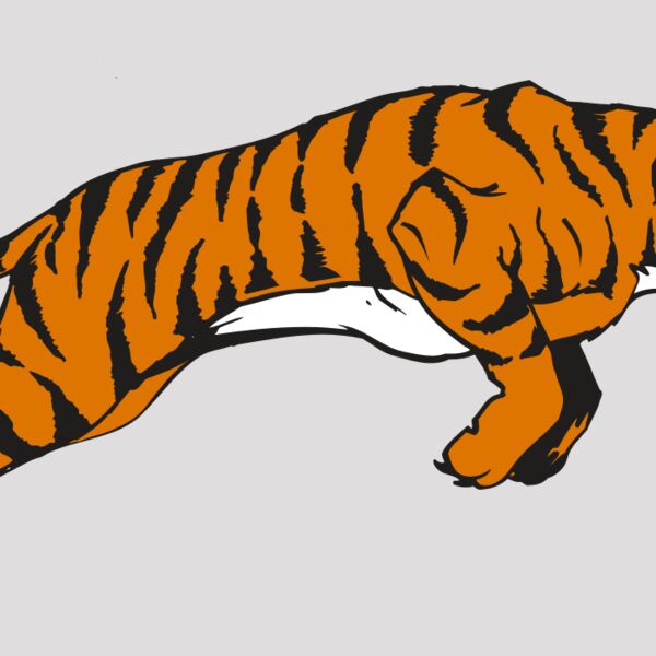 AR TIGER 79 RC Thumbnail