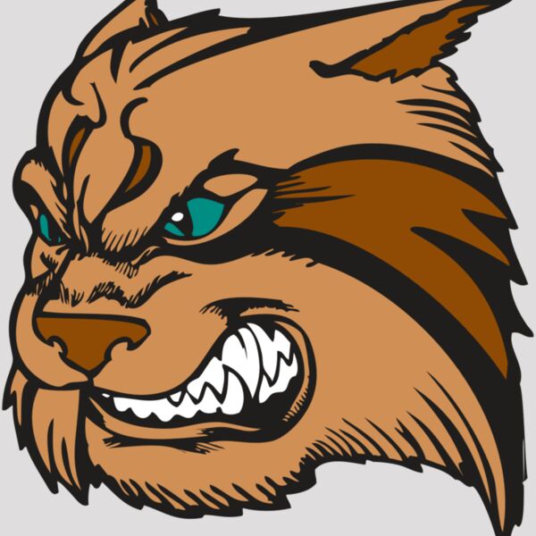 BAW WILDCAT 05 RC Thumbnail