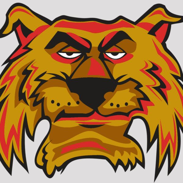 WILDCAT HD0503 RQC Thumbnail