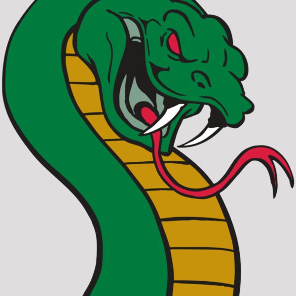 AR SNAKE 12 RC Thumbnail