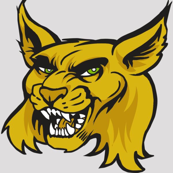 AR30 WILDCAT 03 RQC Thumbnail