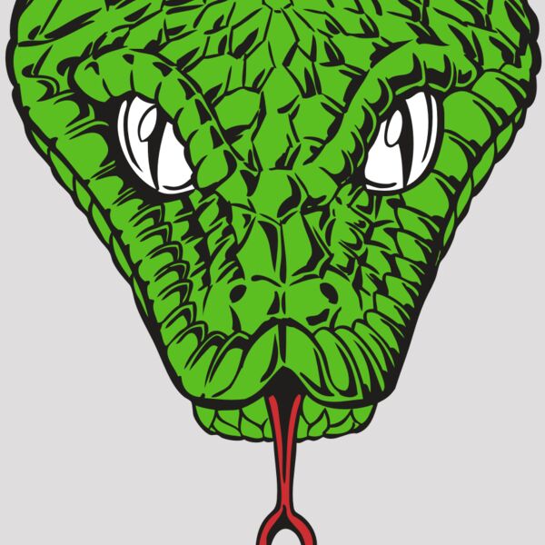 BAW SNAKE 08 RC Thumbnail