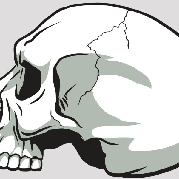 AR24 SKULL 11 RQC Thumbnail