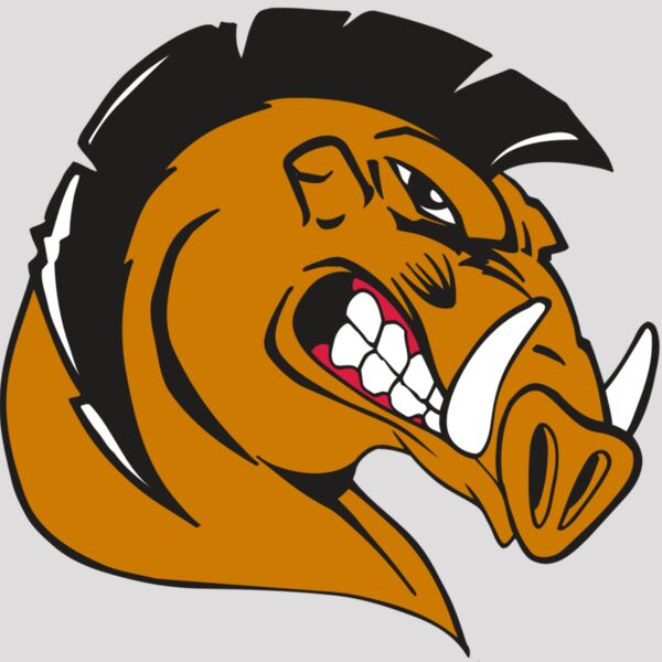 AR RAZORBACK 19 RC Thumbnail