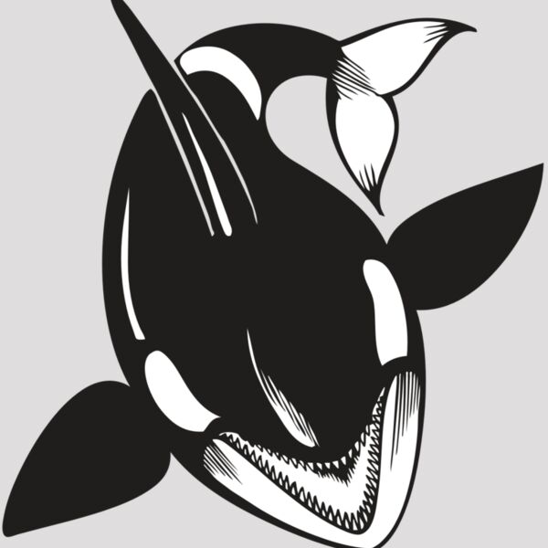 BAW KLRWHALE 01 RC Thumbnail