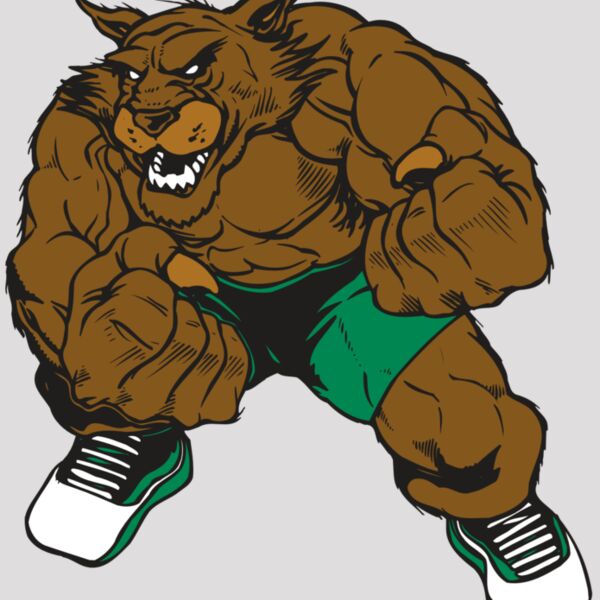 AR WILDCAT 45 RC Thumbnail