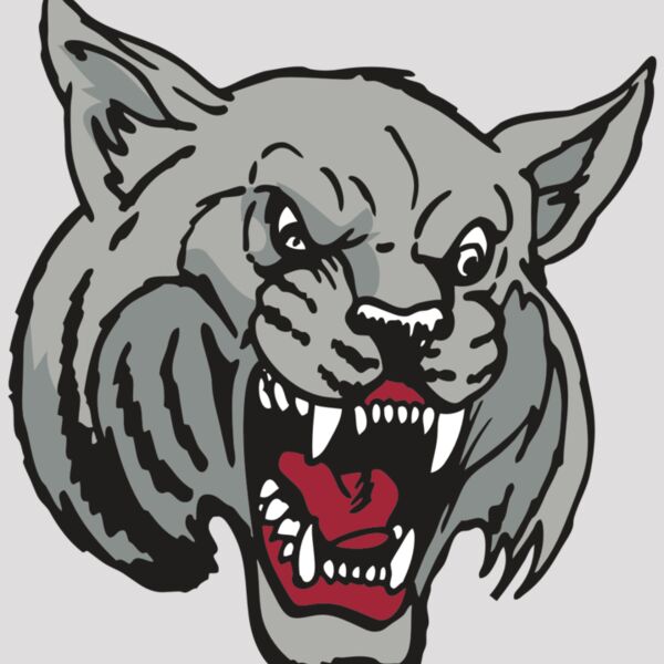 AR WILDCAT 42 RC Thumbnail