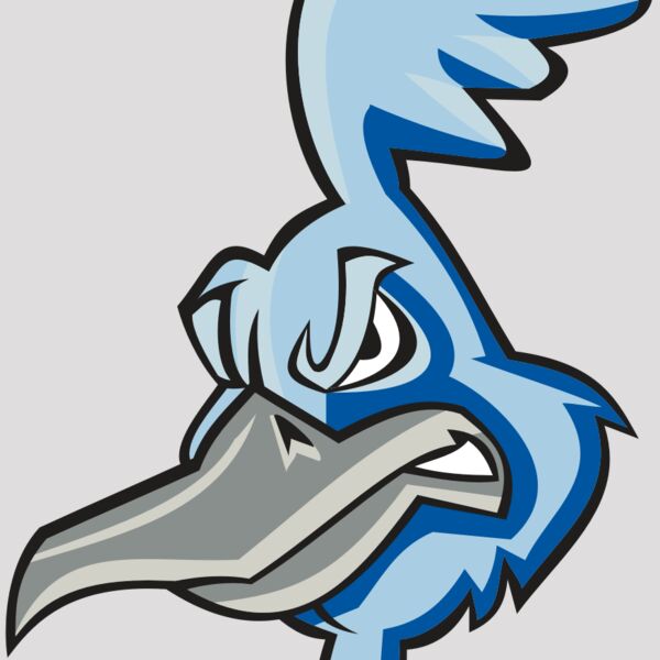 ROADRUNNER HD0501 RQC Thumbnail