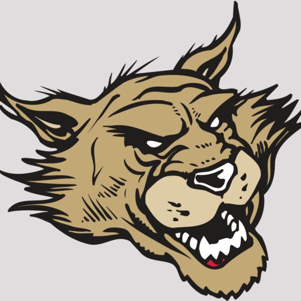 AR WILDCAT 39 RC Thumbnail