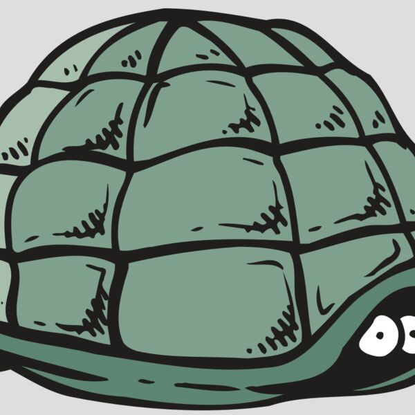 AR5 Turtle 10 RQC Thumbnail