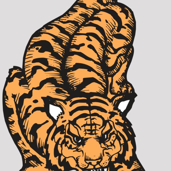 BAW TIGER 01 RC Thumbnail