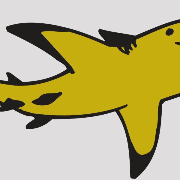 AR  SHARK 32 RC Thumbnail