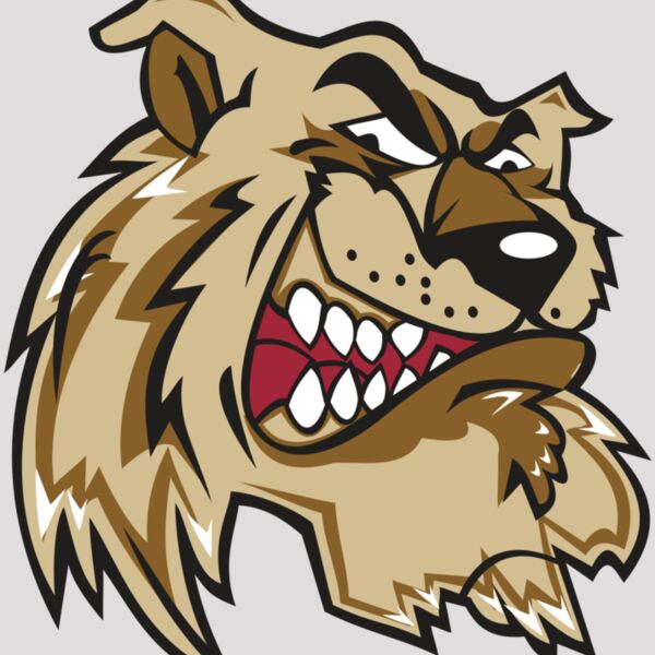 WILDCAT HD0502 RQC Thumbnail