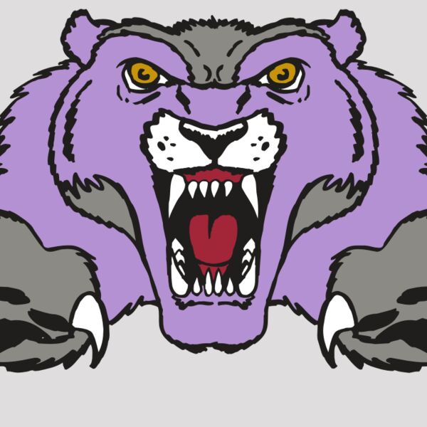 AR WOLVERINE 17 RC Thumbnail