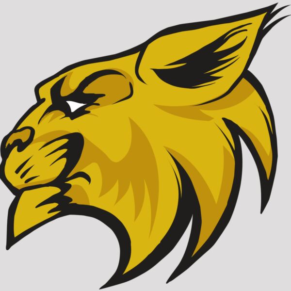 AR30 WILDCAT 02 RQC Thumbnail