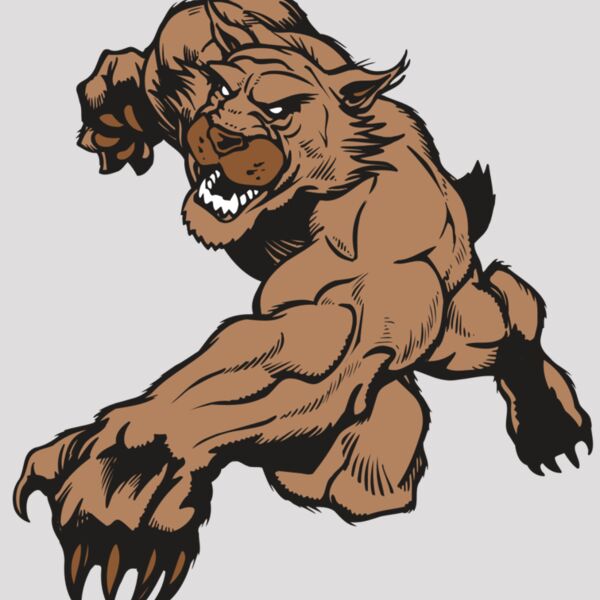 AR WILDCAT 47 RC Thumbnail