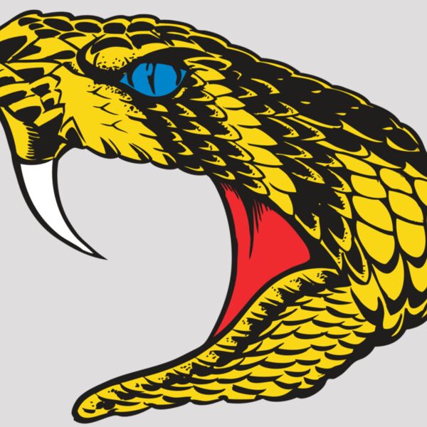 BAW SNAKE 06 RC Thumbnail