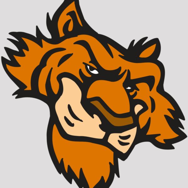 AR5 Tiger 16 RQC Thumbnail