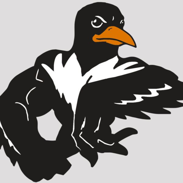 AR ORIOLE 22 RC Thumbnail