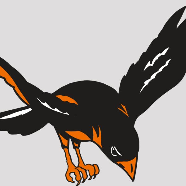 AR ORIOLE 16 RC Thumbnail