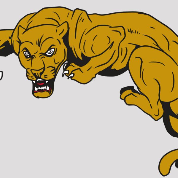 AR10 PANTHER 02 RQC Thumbnail