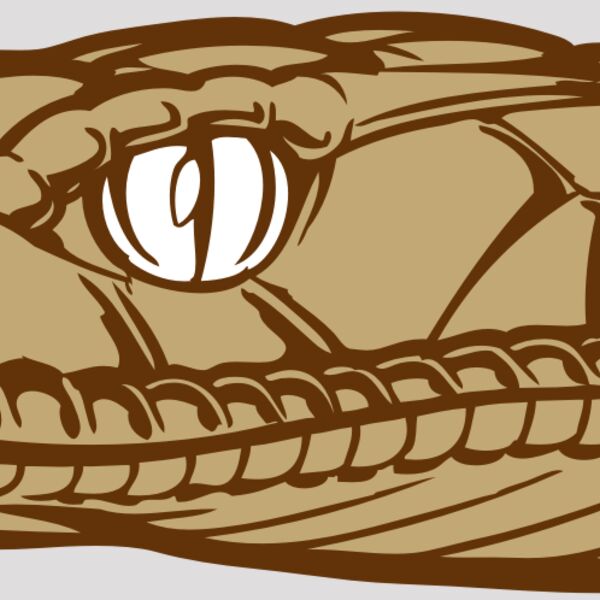 BAW SNAKE 12 RC Thumbnail