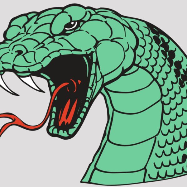 AR SNAKE 10 RC Thumbnail