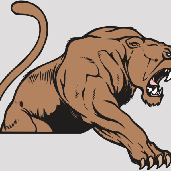 AR COUGAR 55 RC Thumbnail