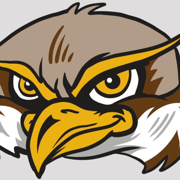 AR12 OWL 02 RQC Thumbnail