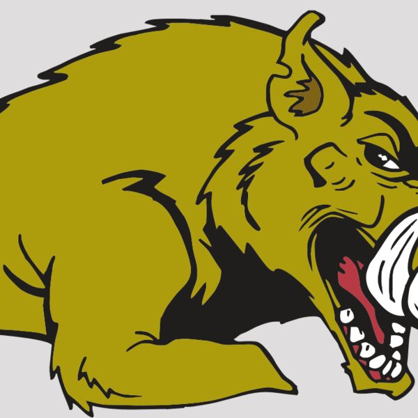 AR RAZORBACK 23 RC Thumbnail