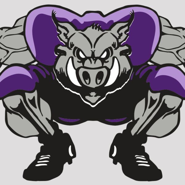 AR RAZORBACK 28 RC Thumbnail