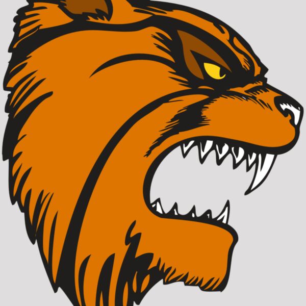 BAW WILDCAT 08 RC Thumbnail