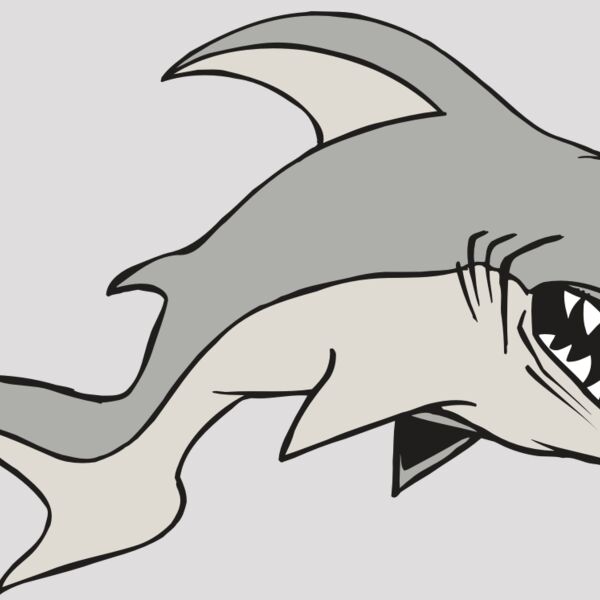 AR5 Shark 10 RQC Thumbnail