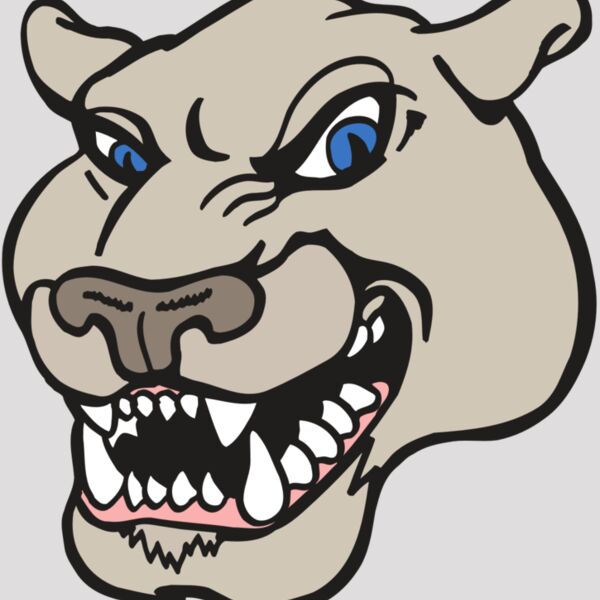 AR5 COUGAR 10 RQC Thumbnail