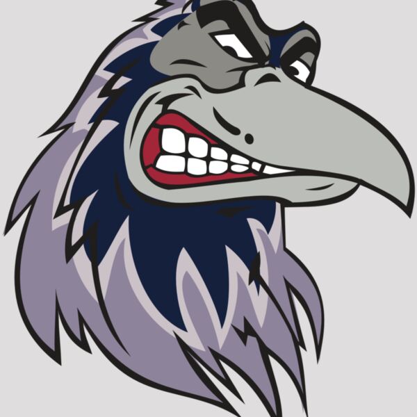 RAVEN HD0504 RQC Thumbnail