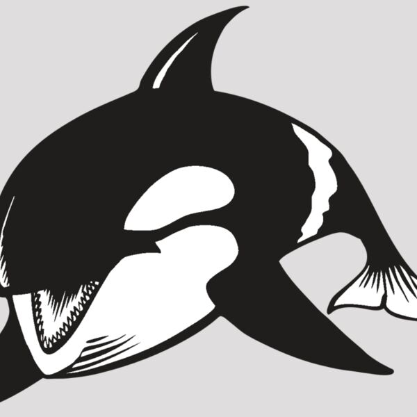 BAW KLRWHALE 04 RC Thumbnail