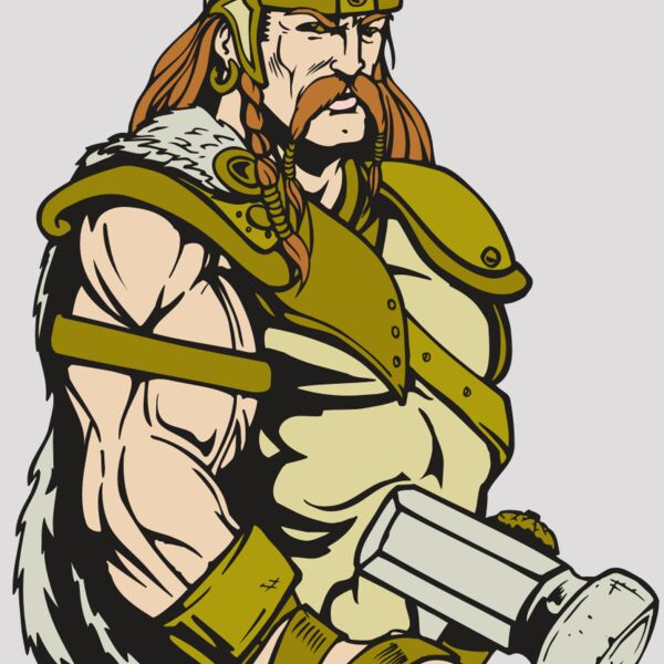 AR VIKING 38 RC Thumbnail