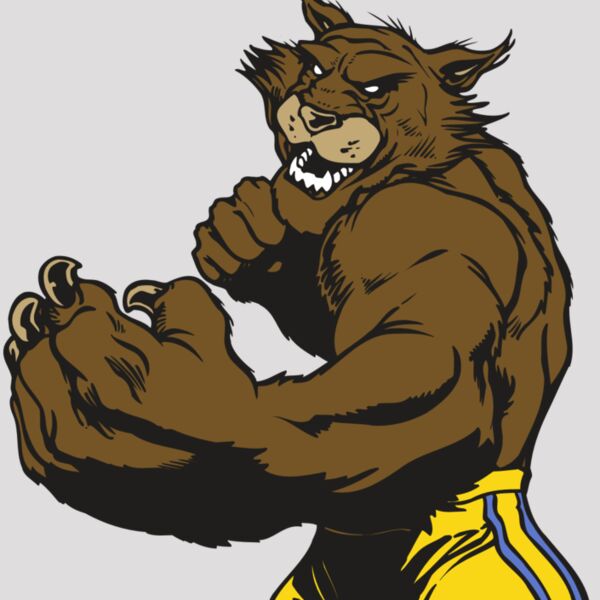 AR WILDCAT 48 RC Thumbnail