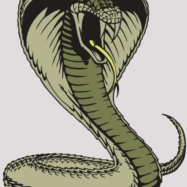 BAW SNAKE 07 RC Thumbnail