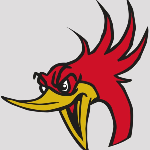 AR31 ROADRUNNER 02 RQC Thumbnail