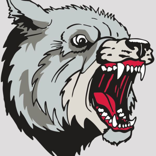 AR WOLF 38 RC Thumbnail