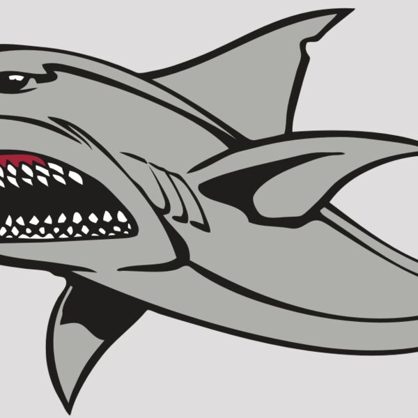 BAW SHARK 03 RC Thumbnail