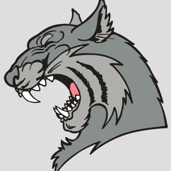 AR WILDCAT 41 RC Thumbnail