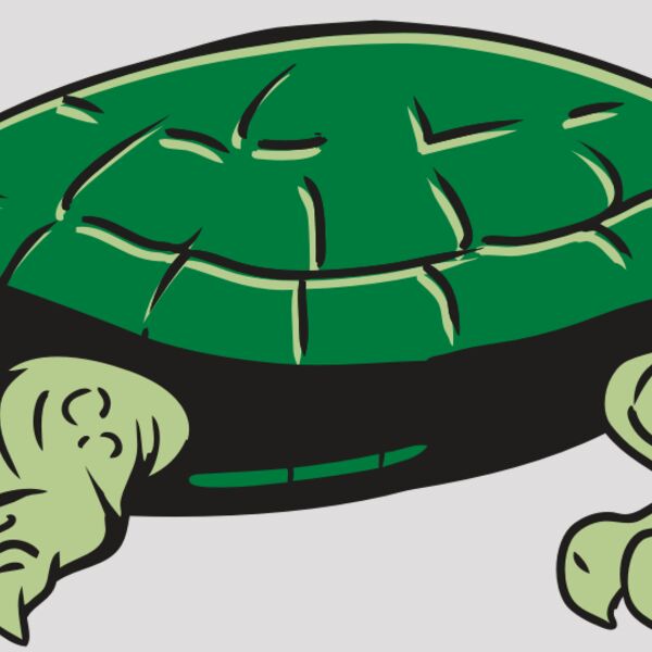 AR32 TURTLE 01 RQC Thumbnail